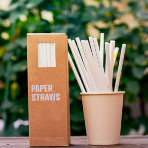 Paper Straw